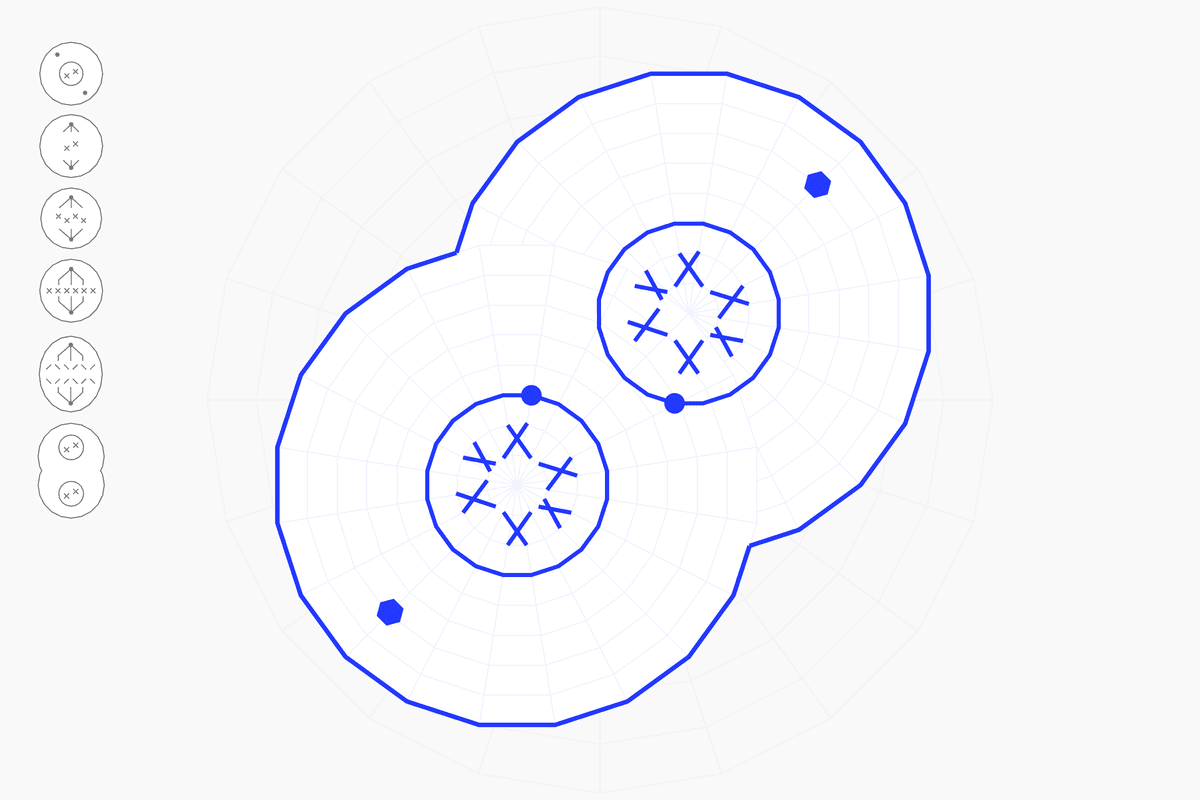 telophase cell division diagram