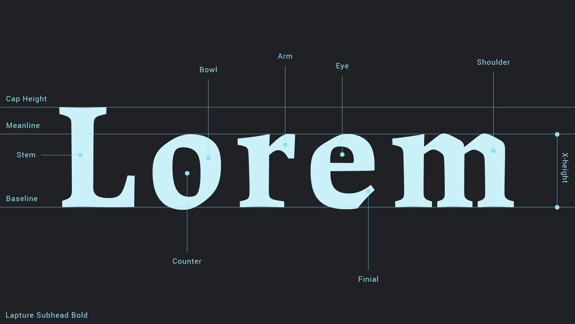 typeface anatomy diagram