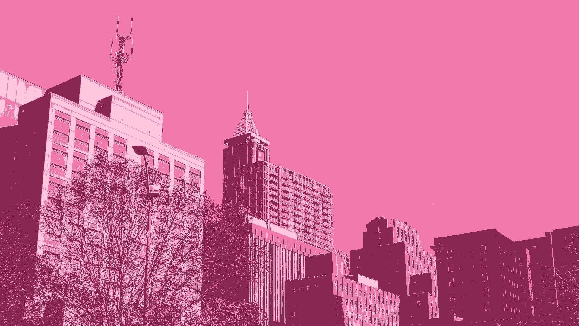 a Raleigh skyline in a pink duotone treatment, a radio tower and the clock-topped high-rise above trees and a streetlight